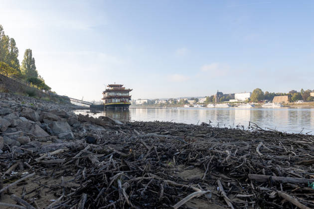 Niedrigwasser am Rhein in Bonn-Beuel Bonn-Beuel, 7. Oktober 2026: Der Rhein führt deutliches Niedrigwasser. Am Ufer in Bonn-Beuel sind weite Bereiche des freiliegenden Rheinufers und der flachen Uferzonen sichtbar. Der niedrige Wasserstand verändert das gewohnte Erscheinungsbild des Rheins und lässt die Auswirkungen der anhaltenden Trockenheit deutlich erkennen. Bonn Beuel Nordrhein-Westfalen Deutschland