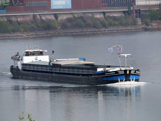 Beobachtungen bei Krefeld-Uerdingen am Rhein. Leere Binnenschiffe auf dem Rhein bei Niedrigwasser. Wirtschaft-Binnenhandel - Binnenschiffe auf dem Rhein.