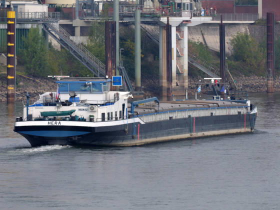 Beobachtungen bei Krefeld-Uerdingen am Rhein. Leere Binnenschiffe auf dem Rhein bei Niedrigwasser. Wirtschaft-Binnenhandel - Binnenschiffe auf dem Rhein.