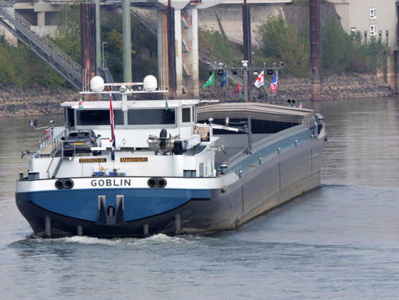 Beobachtungen bei Krefeld-Uerdingen am Rhein. Leere Binnenschiffe auf dem Rhein bei Niedrigwasser. Wirtschaft-Binnenhandel - Binnenschiffe auf dem Rhein.