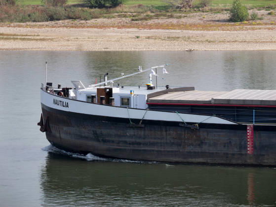 Beobachtungen bei Krefeld-Uerdingen am Rhein. Leere Binnenschiffe auf dem Rhein bei Niedrigwasser. Wirtschaft-Binnenhandel - Binnenschiffe auf dem Rhein.