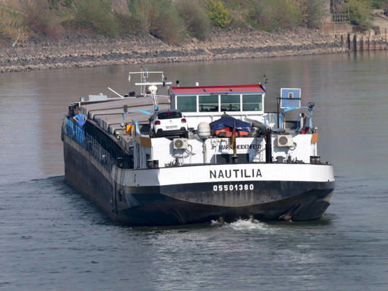 Beobachtungen bei Krefeld-Uerdingen am Rhein. Leere Binnenschiffe auf dem Rhein bei Niedrigwasser. Wirtschaft-Binnenhandel - Binnenschiffe auf dem Rhein.