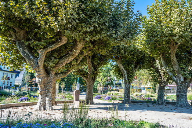 Sonne statt Herbstgrau: Kehl genießt mildes Oktoberwetter, Sonniges und für die Jahreszeit mildes Herbstwetter sorgt am Mittwoch, 7. Oktober 2026, in Kehl für beinahe spätsommerliche Eindrücke. Noch bestimmt Hochdruckeinfluss mit sehr milder Luft das Wetter in Süddeutschland. Die freundliche Wetterphase ist jedoch nur von kurzer Dauer: Nach Angaben des Deutschen Wetterdienstes zieht ab Mittwochabend von Westen ein kräftiger Tiefausläufer auf. In der Nacht zum Donnerstag und am Donnerstag sind gebietsweise Regen, örtlich Starkregen sowie einzelne Gewitter möglich. Kehl Baden-Württemberg Deutschland Kehl
