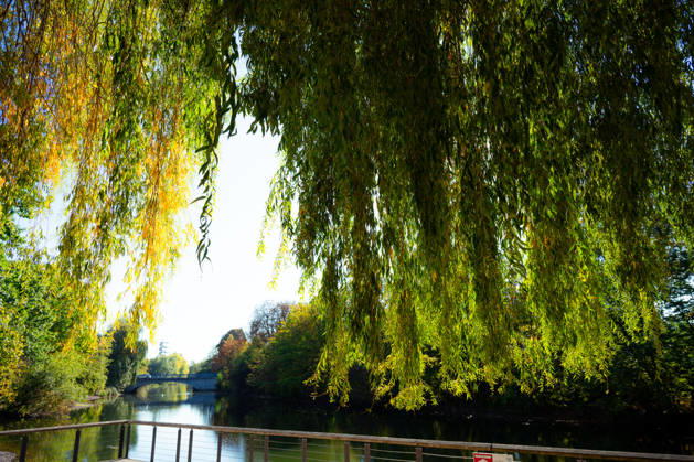Sonne statt Herbstgrau: Kehl genießt mildes Oktoberwetter, Sonniges und für die Jahreszeit mildes Herbstwetter sorgt am Mittwoch, 7. Oktober 2026, in Kehl für beinahe spätsommerliche Eindrücke. Noch bestimmt Hochdruckeinfluss mit sehr milder Luft das Wetter in Süddeutschland. Die freundliche Wetterphase ist jedoch nur von kurzer Dauer: Nach Angaben des Deutschen Wetterdienstes zieht ab Mittwochabend von Westen ein kräftiger Tiefausläufer auf. In der Nacht zum Donnerstag und am Donnerstag sind gebietsweise Regen, örtlich Starkregen sowie einzelne Gewitter möglich. Kehl Baden-Württemberg Deutschland Kehl