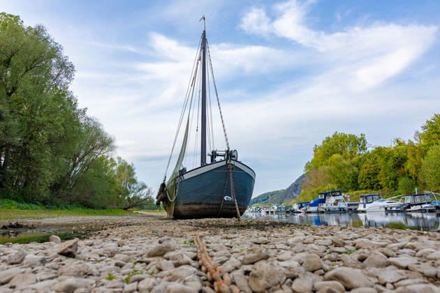 Niedrigwasser am Rhein: Aalschokker Aranka liegt völlig trocken an der Insel Grafenwerth - 07.10.26 Der historische Aalschokker Aranka liegt bei Niedrigwasser völlig trocken an der Insel Grafenwerth in Bad Honnef. Der 1917 gebaute Aalfänger ist seit 1991 ein bewegliches Denkmal. Die Pegel Oberwinter (-16 cm) und Bonn (61 cm) bewegen sich auf Rekordniveau. Ab Donnerstag leitet eine Regenfront den Herbst ein und bringt den Pegeln erste Entspannung. Bad Honnef Insel Grafenwerth Nordrhein-Westfalen Deutschland Copyright: xMarcxJohnx