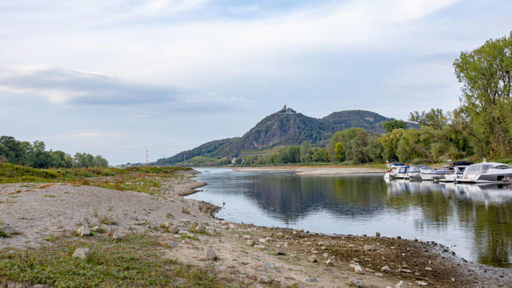 Niedrigwasser am Rhein: Trockenes Flussbett an der Nordspitze der Insel Grafenwerth - 07.10.26 Blick von der Nordspitze der Insel Grafenwerth in Bad Honnef auf den Rhein und das großflächig trockene Flussbett, im Hintergrund das Siebengebirge mit dem Drachenfels. Die Pegel Oberwinter (-16 cm) und Bonn (61 cm) bewegen sich auf Rekordniveau. Ab Donnerstag leitet eine Regenfront den Herbst ein und bringt den Pegeln erste Entspannung. Bad Honnef Insel Grafenwerth Nordrhein-Westfalen Deutschland Copyright: xMarcxJohnx