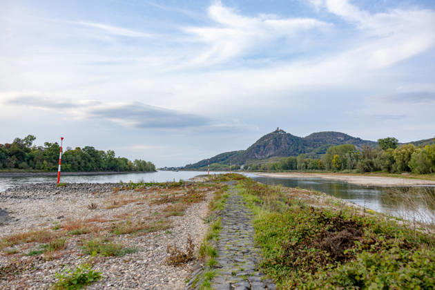 Niedrigwasser am Rhein: Trockenes Flussbett an der Nordspitze der Insel Grafenwerth - 07.10.26 Blick von der Nordspitze der Insel Grafenwerth in Bad Honnef auf den Rhein und das großflächig trockene Flussbett, im Hintergrund das Siebengebirge mit dem Drachenfels. Die Pegel Oberwinter (-16 cm) und Bonn (61 cm) bewegen sich auf Rekordniveau. Ab Donnerstag leitet eine Regenfront den Herbst ein und bringt den Pegeln erste Entspannung. Bad Honnef Insel Grafenwerth Nordrhein-Westfalen Deutschland Copyright: xMarcxJohnx
