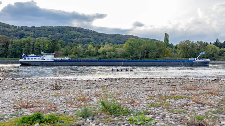 Niedrigwasser am Rhein: Trockenes Flussbett an der Nordspitze der Insel Grafenwerth - 07.10.26 Blick von der Nordspitze der Insel Grafenwerth in Bad Honnef auf den Rhein und das großflächig trockene Flussbett. Ein Ruderboot wird von einem Binnen Frachtschiff überholt. Die Pegel Oberwinter (-16 cm) und Bonn (61 cm) bewegen sich auf Rekordniveau. Ab Donnerstag leitet eine Regenfront den Herbst ein und bringt den Pegeln erste Entspannung. Bad Honnef Insel Grafenwerth Nordrhein-Westfalen Deutschland Copyright: xMarcxJohnx