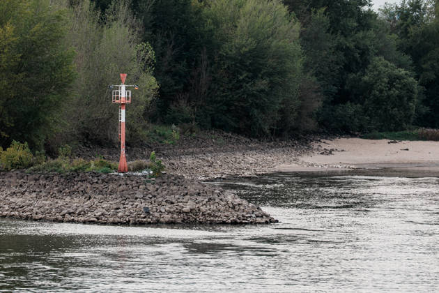 Düsseldorf, Rhein: Niedrigwasser im Fluss, Trockenheit, Pegel, Pegelstände, Wasserstand, Wirtschaft, Logistik, trockenes Ufer, Schiffe, Schifffahrt Copyright: xThiemoxRudolphx