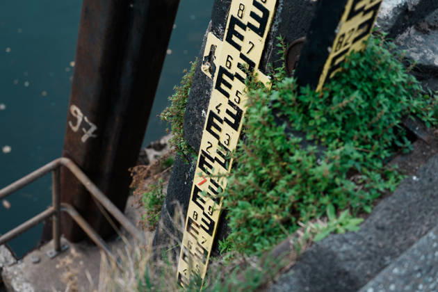 Düsseldorf, Rhein: Niedrigwasser im Fluss, Trockenheit, Pegel, Pegelstände, Wasserstand, Wirtschaft, Logistik, trockenes Ufer, Schiffe, Schifffahrt, Messstelle Copyright: xThiemoxRudolphx