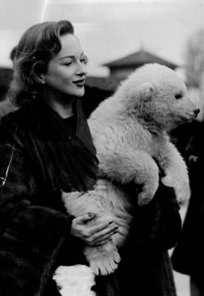 A Lucky Bear -- Friends with a film star - London Zoo s most popular baby, Brumaa, the polar bear, has a special visitor, film and radio star Joan Greenwood, who found the Teddy a cuddly handfull but they soon made friends. March 03, 1950. (Photo by Paul Popper Ltd.).  Copyright: xPaulxPopperxLtd.x 5513-78878066