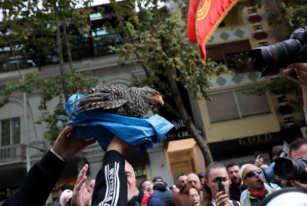 Demonstration Against the Proposed Territorial Reform in Tirana, Albania. A protester holds up a chicken during an anti-government protest against the government s administrative and territorial reform, in front of the Parliament building in Tirana, Albania, on October 8, 2026. Light Studio Agency Malton Dibra Tirana Albania Copyright: xLightxStudioxAgencyx xMaltonxDibrax