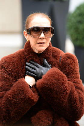 Céline Dion greets her fans as she leaves the Royal Monceau hotel in Paris, before heading to La Plenitude Arena in Paris La Défense to continue her concert series on October 9, 2026. The night before, the Quebec star stumbled on stage and then forgot some of the lyrics to her song, Pour que tu m’aimes encore during the finale of her show. Clément Prioli, Bestimage. Céline Dion greets fans as she leaves the Royal Monceau Hotel in Paris, before heading to the Paris La Défense Arena to continue her concert series on October 9, 2026. The previous evening, the Quebec star stumbled on stage and forgot some of the lyrics to her song Pour que tu m’aimes encore during the show’s finale. Paris, France  Copyright: xClÃ mentxPrioli BestimagexClÃ mentxPrioli Bestimagex