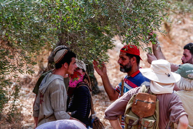 Clashes erupt between Israeli settlers and Palestinian farmers in West Bank RAMALLAH, WEST BANK - OCTOBER 9: Clashes break out between Israeli settlers, accompanied by Israeli soldiers, and Palestinian farmers harvesting olives in the town of Deir Ibzi, near Ramallah in West Bank, on October 9, 2026. The incident reportedly involved damage to olive crops and provocative actions by the settlers. Issam Rimawi Anadolu West Bank Palestine. Editorial use only. Please get in touch for any other usage.  Copyright: x2026xAnadoluxIssamxRimawix