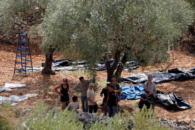 Clashes erupt between Israeli settlers and Palestinian farmers in West Bank RAMALLAH, WEST BANK - OCTOBER 9: Clashes break out between Israeli settlers, accompanied by Israeli soldiers, and Palestinian farmers harvesting olives in the town of Deir Ibzi, near Ramallah in West Bank, on October 9, 2026. The incident reportedly involved damage to olive crops and provocative actions by the settlers. Issam Rimawi Anadolu West Bank Palestine. Editorial use only. Please get in touch for any other usage.  Copyright: x2026xAnadoluxIssamxRimawix