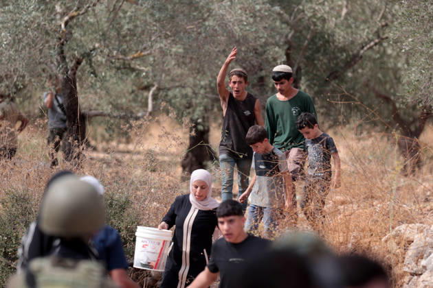 Clashes erupt between Israeli settlers and Palestinian farmers in West Bank RAMALLAH, WEST BANK - OCTOBER 9: Clashes break out between Israeli settlers, accompanied by Israeli soldiers, and Palestinian farmers harvesting olives in the town of Deir Ibzi, near Ramallah in West Bank, on October 9, 2026. The incident reportedly involved damage to olive crops and provocative actions by the settlers. Issam Rimawi Anadolu Ramallah West Bank. Editorial use only. Please get in touch for any other usage.  Copyright: x2026xAnadoluxIssamxRimawix
