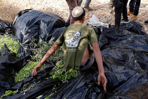 Clashes erupt between Israeli settlers and Palestinian farmers in West Bank RAMALLAH, WEST BANK - OCTOBER 9: Clashes break out between Israeli settlers, accompanied by Israeli soldiers, and Palestinian farmers harvesting olives in the town of Deir Ibzi, near Ramallah in West Bank, on October 9, 2026. The incident reportedly involved damage to olive crops and provocative actions by the settlers. Issam Rimawi Anadolu Ramallah West Bank. Editorial use only. Please get in touch for any other usage.  Copyright: x2026xAnadoluxIssamxRimawix
