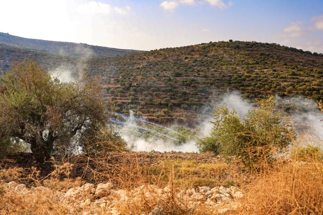 October 10, 2026, Ramallah: DEIR ABU MASHÃ¢â‚¬â ¢AL, PALESTINE Ã¢â‚¬ OCTOBER 10, 2026: Palestinian farmers came under attack by Israeli settlers and Israeli forces as they headed to harvest olives on their land in Deir Abu MashÃ¢â‚¬â ¢al, northwest of Ramallah. The event marked the villageÃ¢â‚¬â ¢s first olive harvest gathering of the new season. The Palestine Red Crescent Society reported that its teams treated nine people injured during the incident. The injuries included one caused by live ammunition to the thigh, two caused by rubber-coated metal bullets, and six resulting from physical assault. One of those struck by a rubber-coated metal bullet was photojournalist Issam Al-Rimawi. The incident occurred during the annual olive harve  - ZUMAq101 20261010_zna_q101_079 Copyright: xSalmanxMohsenxAlkhatibx