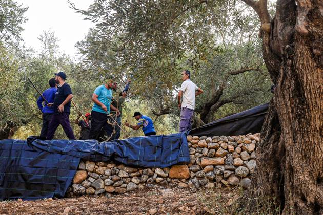 October 10, 2026, Ramallah: DEIR ABU MASHÃ¢â‚¬â ¢AL, PALESTINE Ã¢â‚¬ OCTOBER 10, 2026: Palestinian farmers came under attack by Israeli settlers and Israeli forces as they headed to harvest olives on their land in Deir Abu MashÃ¢â‚¬â ¢al, northwest of Ramallah. The event marked the villageÃ¢â‚¬â ¢s first olive harvest gathering of the new season. The Palestine Red Crescent Society reported that its teams treated nine people injured during the incident. The injuries included one caused by live ammunition to the thigh, two caused by rubber-coated metal bullets, and six resulting from physical assault. One of those struck by a rubber-coated metal bullet was photojournalist Issam Al-Rimawi. The incident occurred during the annual olive harve - ZUMAq101 20261010_zna_q101_050 Copyright: xSalmanxMohsenxAlkhatibx
