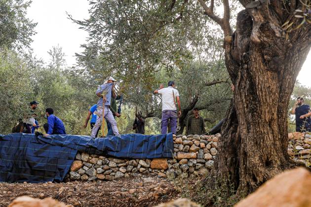 October 10, 2026, Ramallah: DEIR ABU MASHÃ¢â‚¬â ¢AL, PALESTINE Ã¢â‚¬ OCTOBER 10, 2026: Palestinian farmers came under attack by Israeli settlers and Israeli forces as they headed to harvest olives on their land in Deir Abu MashÃ¢â‚¬â ¢al, northwest of Ramallah. The event marked the villageÃ¢â‚¬â ¢s first olive harvest gathering of the new season. The Palestine Red Crescent Society reported that its teams treated nine people injured during the incident. The injuries included one caused by live ammunition to the thigh, two caused by rubber-coated metal bullets, and six resulting from physical assault. One of those struck by a rubber-coated metal bullet was photojournalist Issam Al-Rimawi. The incident occurred during the annual olive harve - ZUMAq101 20261010_zna_q101_054 Copyright: xSalmanxMohsenxAlkhatibx