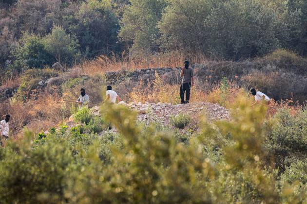 October 10, 2026, Ramallah: DEIR ABU MASHÃ¢â‚¬â ¢AL, PALESTINE Ã¢â‚¬ OCTOBER 10, 2026: Palestinian farmers came under attack by Israeli settlers and Israeli forces as they headed to harvest olives on their land in Deir Abu MashÃ¢â‚¬â ¢al, northwest of Ramallah. The event marked the villageÃ¢â‚¬â ¢s first olive harvest gathering of the new season. The Palestine Red Crescent Society reported that its teams treated nine people injured during the incident. The injuries included one caused by live ammunition to the thigh, two caused by rubber-coated metal bullets, and six resulting from physical assault. One of those struck by a rubber-coated metal bullet was photojournalist Issam Al-Rimawi. The incident occurred during the annual olive harve - ZUMAq101 20261010_zna_q101_064 Copyright: xSalmanxMohsenxAlkhatibx