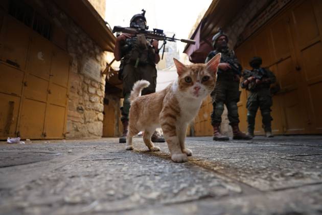 Israeli settlers enter Hebron Old City under military protection HEBRON, OCCUPIED WEST BANK, OCTOBER 10, 2026: Israeli settlers enter Hebron s Old City under the protection of Israeli forces during an organized visit to the area. Israeli soldiers deployed along streets and around the group as settlers moved through the Old City, where Israeli settlers and Palestinian residents live in close proximity amid longstanding tensions and movement restrictions. HEBRON Palestine, State of Copyright: x xMosabxshawerx xJNAxPressx