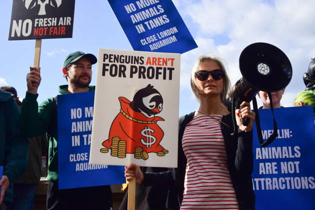 October 10, 2026, London, England, United Kingdom: Animal rights activists gather outside Sea Life demanding freedom for the gentoo penguins kept at the aquarium, and other captive animals. The penguins are kept in a dark, artificial exhibit in the basement of the aquarium and reportedly never see the outdoors. London United Kingdom - ZUMAv130 20261010_zip_v130_062 Copyright: xVukxValcicx