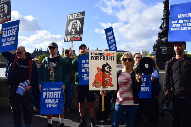 October 10, 2026, London, England, United Kingdom: Animal rights activists gather outside Sea Life demanding freedom for the gentoo penguins kept at the aquarium, and other captive animals. The penguins are kept in a dark, artificial exhibit in the basement of the aquarium and reportedly never see the outdoors. London United Kingdom - ZUMAv130 20261010_zip_v130_063 Copyright: xVukxValcicx