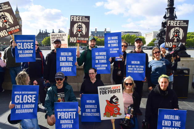 October 10, 2026, London, England, United Kingdom: Animal rights activists gather outside Sea Life demanding freedom for the gentoo penguins kept at the aquarium, and other captive animals. The penguins are kept in a dark, artificial exhibit in the basement of the aquarium and reportedly never see the outdoors. London United Kingdom - ZUMAv130 20261010_zip_v130_064 Copyright: xVukxValcicx