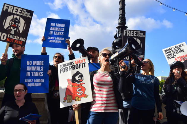 October 10, 2026, London, England, United Kingdom: Animal rights activists gather outside Sea Life demanding freedom for the gentoo penguins kept at the aquarium, and other captive animals. The penguins are kept in a dark, artificial exhibit in the basement of the aquarium and reportedly never see the outdoors. London United Kingdom - ZUMAv130 20261010_zip_v130_067 Copyright: xVukxValcicx