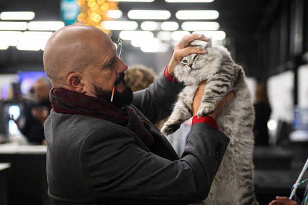 2026 WCF Jubilee Cat Show - Day 1 Owner holds his cat during the day one of 2026 WCF Jubilee Cat Show in Zagreb, Croatia on October 10, 2026.  DavorxPuklavec PIXSELL