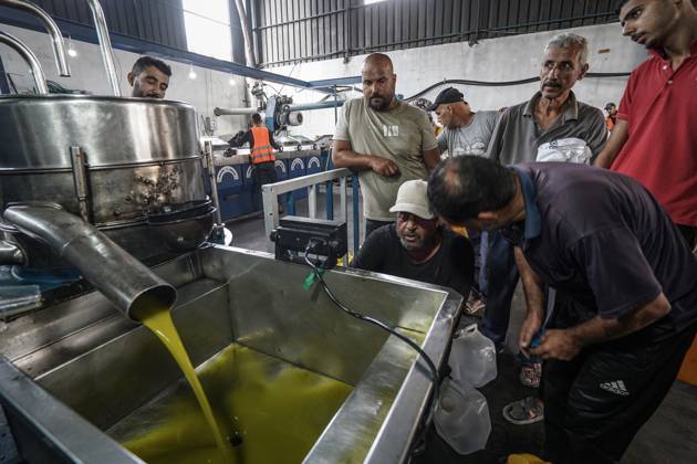 Olive harvest in Gaza despite destruction and access restrictions GAZA STRIP, GAZA, PALESTINE - OCTOBER 11: People work at an olive press facility west of Al-Zawayda as olive oil production continues in the Gaza Strip, Palestine, on October 11, 2026. Palestinian farmers harvest olives from the few trees left standing after Israeli attacks caused extensive damage to agricultural land across the territory, while access to fields in areas designated as the Yellow Line remains restricted. Adam Bilal Anadolu Gaza Gaza. Editorial use only. Please get in touch for any other usage.  Copyright: x2026xAnadoluxAdamxBilalx