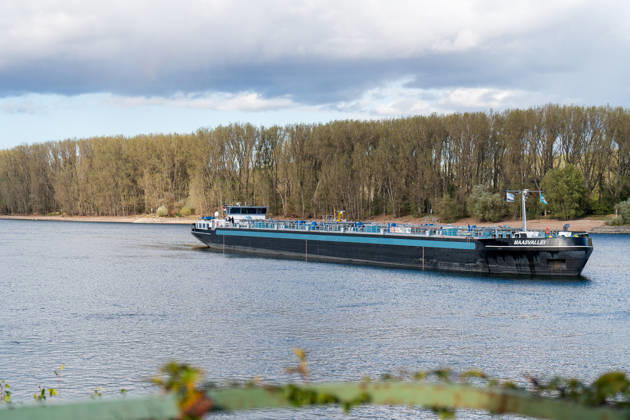 Havarierter Tanker mit 250 Tonnen Wasserstoff frei vierte Festfahrung auf dem Rhein Begleitung durch WSA und Wasserschutzpolizei Am 11.10.2026 gegen 07:00 Uhr fuhr sich ein Tankmotorschiff auf dem Rhein bei Ludwigshöhe in Höhe von Rheinkilometer 474,00 fest. Das Schiff war mit 250 Tonnen Wasserstoff beladen, auf Talfahrt und kam an der linksrheinischen Seite der Fahrrinne fest. Es war die vierte Festfahrung von Großfahrzeugen in diesem Bereich seit dem Vormittag des 10.10.2026. Im Laufe des Nachmittags befreite sich das Schiff, fuhr zunächst weiter nach Nierstein, wendete dort und fuhr zurück, begleitet von einem Arbeitsschiff des WSA Rhein und der Wasserschutzpolizei. Nierstein BWS Rhein Rheinland-Pfalz Deutschland