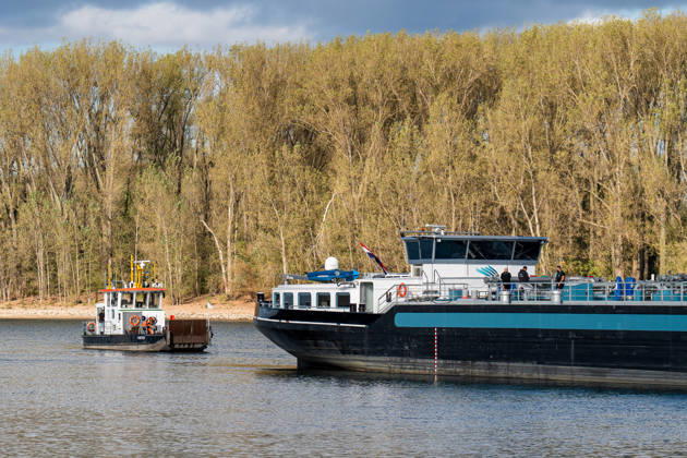 Havarierter Tanker mit 250 Tonnen Wasserstoff frei vierte Festfahrung auf dem Rhein Begleitung durch WSA und Wasserschutzpolizei Am 11.10.2026 gegen 07:00 Uhr fuhr sich ein Tankmotorschiff auf dem Rhein bei Ludwigshöhe in Höhe von Rheinkilometer 474,00 fest. Das Schiff war mit 250 Tonnen Wasserstoff beladen, auf Talfahrt und kam an der linksrheinischen Seite der Fahrrinne fest. Es war die vierte Festfahrung von Großfahrzeugen in diesem Bereich seit dem Vormittag des 10.10.2026. Im Laufe des Nachmittags befreite sich das Schiff, fuhr zunächst weiter nach Nierstein, wendete dort und fuhr zurück, begleitet von einem Arbeitsschiff des WSA Rhein und der Wasserschutzpolizei. Nierstein BWS Rhein Rheinland-Pfalz Deutschland
