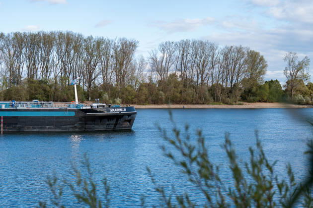 Havarierter Tanker mit 250 Tonnen Wasserstoff frei vierte Festfahrung auf dem Rhein Begleitung durch WSA und Wasserschutzpolizei Am 11.10.2026 gegen 07:00 Uhr fuhr sich ein Tankmotorschiff auf dem Rhein bei Ludwigshöhe in Höhe von Rheinkilometer 474,00 fest. Das Schiff war mit 250 Tonnen Wasserstoff beladen, auf Talfahrt und kam an der linksrheinischen Seite der Fahrrinne fest. Es war die vierte Festfahrung von Großfahrzeugen in diesem Bereich seit dem Vormittag des 10.10.2026. Im Laufe des Nachmittags befreite sich das Schiff, fuhr zunächst weiter nach Nierstein, wendete dort und fuhr zurück, begleitet von einem Arbeitsschiff des WSA Rhein und der Wasserschutzpolizei. Nierstein BWS Rhein Rheinland-Pfalz Deutschland