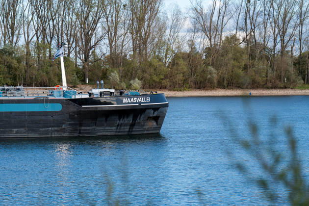 Havarierter Tanker mit 250 Tonnen Wasserstoff frei vierte Festfahrung auf dem Rhein Begleitung durch WSA und Wasserschutzpolizei Am 11.10.2026 gegen 07:00 Uhr fuhr sich ein Tankmotorschiff auf dem Rhein bei Ludwigshöhe in Höhe von Rheinkilometer 474,00 fest. Das Schiff war mit 250 Tonnen Wasserstoff beladen, auf Talfahrt und kam an der linksrheinischen Seite der Fahrrinne fest. Es war die vierte Festfahrung von Großfahrzeugen in diesem Bereich seit dem Vormittag des 10.10.2026. Im Laufe des Nachmittags befreite sich das Schiff, fuhr zunächst weiter nach Nierstein, wendete dort und fuhr zurück, begleitet von einem Arbeitsschiff des WSA Rhein und der Wasserschutzpolizei. Nierstein BWS Rhein Rheinland-Pfalz Deutschland