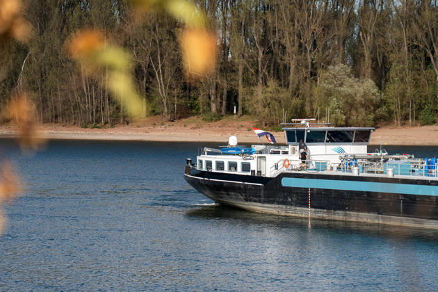 Havarierter Tanker mit 250 Tonnen Wasserstoff frei vierte Festfahrung auf dem Rhein Begleitung durch WSA und Wasserschutzpolizei Am 11.10.2026 gegen 07:00 Uhr fuhr sich ein Tankmotorschiff auf dem Rhein bei Ludwigshöhe in Höhe von Rheinkilometer 474,00 fest. Das Schiff war mit 250 Tonnen Wasserstoff beladen, auf Talfahrt und kam an der linksrheinischen Seite der Fahrrinne fest. Es war die vierte Festfahrung von Großfahrzeugen in diesem Bereich seit dem Vormittag des 10.10.2026. Im Laufe des Nachmittags befreite sich das Schiff, fuhr zunächst weiter nach Nierstein, wendete dort und fuhr zurück, begleitet von einem Arbeitsschiff des WSA Rhein und der Wasserschutzpolizei. Nierstein BWS Rhein Rheinland-Pfalz Deutschland