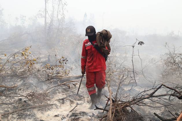 Firefighters battle forest fire in Central Kalimantan PALANGKA RAYA, CENTRAL KALIMANTAN, INDONESIA, OCTOBER 11, 2026: Members of Indonesia s Manggala Agni forest fire brigade work to extinguish a forest fire in the Sebangau area of Palangka Raya, Central Kalimantan. The firefighting team has been responding to fires affecting forests and community land in the region during the dry season. kalimantan Indonesia Copyright: x xReginaxSafrix xJNAxPressx