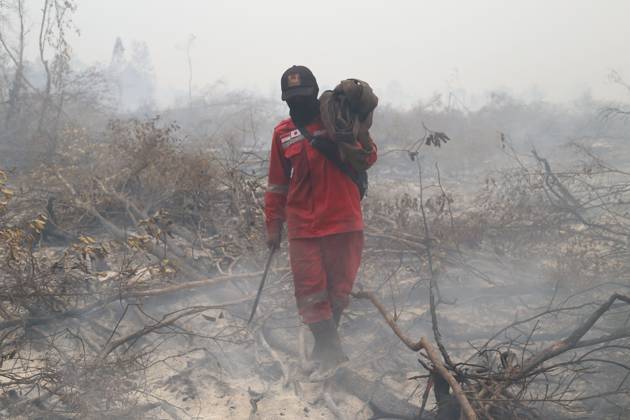 Firefighters battle forest fire in Central Kalimantan PALANGKA RAYA, CENTRAL KALIMANTAN, INDONESIA, OCTOBER 11, 2026: Members of Indonesia s Manggala Agni forest fire brigade work to extinguish a forest fire in the Sebangau area of Palangka Raya, Central Kalimantan. The firefighting team has been responding to fires affecting forests and community land in the region during the dry season. kalimantan Indonesia Copyright: x xReginaxSafrix xJNAxPressx