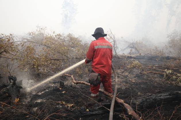 Firefighters battle forest fire in Central Kalimantan PALANGKA RAYA, CENTRAL KALIMANTAN, INDONESIA, OCTOBER 11, 2026: Members of Indonesia s Manggala Agni forest fire brigade work to extinguish a forest fire in the Sebangau area of Palangka Raya, Central Kalimantan. The firefighting team has been responding to fires affecting forests and community land in the region during the dry season. kalimantan Indonesia Copyright: x xReginaxSafrix xJNAxPressx