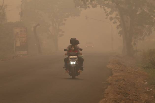 Firefighters battle forest fire in Central Kalimantan PALANGKA RAYA, CENTRAL KALIMANTAN, INDONESIA, OCTOBER 11, 2026: Members of Indonesia s Manggala Agni forest fire brigade work to extinguish a forest fire in the Sebangau area of Palangka Raya, Central Kalimantan. The firefighting team has been responding to fires affecting forests and community land in the region during the dry season. kalimantan Indonesia Copyright: x xReginaxSafrix xJNAxPressx