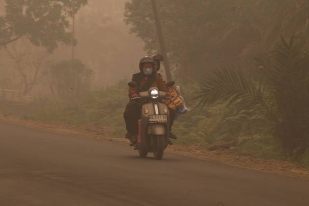 Firefighters battle forest fire in Central Kalimantan PALANGKA RAYA, CENTRAL KALIMANTAN, INDONESIA, OCTOBER 11, 2026: Members of Indonesia s Manggala Agni forest fire brigade work to extinguish a forest fire in the Sebangau area of Palangka Raya, Central Kalimantan. The firefighting team has been responding to fires affecting forests and community land in the region during the dry season. kalimantan Indonesia Copyright: x xReginaxSafrix xJNAxPressx