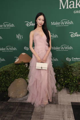 October 11, 2026, Century City, California, USA: filenamebase:0,-5} at 2026 Los Angeles Make A Wish Foundation Gala at Fairmont Century Plaza Hotel Century City USA - ZUMAg107 20261011_zep_g107_097 Copyright: xNinaxPrommerx