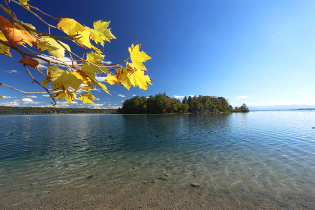 Ein Herbsttag in Feldafing, Feldafinger Park (Landkreis Starnberg). Hier der Blick auf den Starnberger See mit der Roseninsel, links Ahornblätter, gefärbte Bäume, Laubfärbung, Laubbaum, herbstlich, Farbenspiel, Herbstlaub, Herbstfärbung, Blattfärbung, rot, gelb, rotes Laub, gelbes Laub, Naturschauspiel, Herbstbild, Herbstimpression, Wetterbild, goldener Oktober