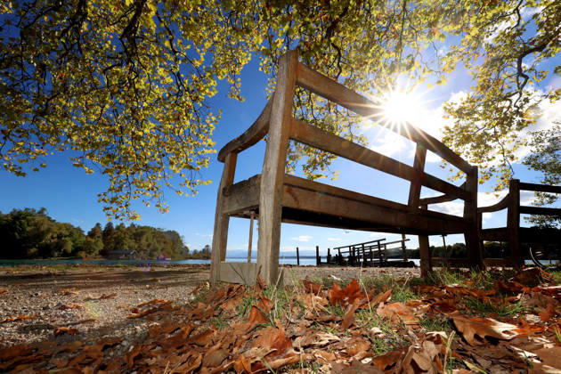 Ein Herbsttag in Feldafing, Feldafinger Park (Landkreis Starnberg). Hier der Blick auf den Starnberger See mit der Roseninsel, im Vordergrund eine Parkbank, Sitzbank, die Sonne, Sonnenstrahlen blinzeln durch die Blätter, gefärbte Bäume, Laubfärbung, Laubbaum, herbstlich, Farbenspiel, Herbstlaub, Herbstfärbung, Blattfärbung, rot, gelb, rotes Laub, gelbes Laub, Naturschauspiel, Herbstbild, Herbstimpression, Wetterbild, goldener Oktober