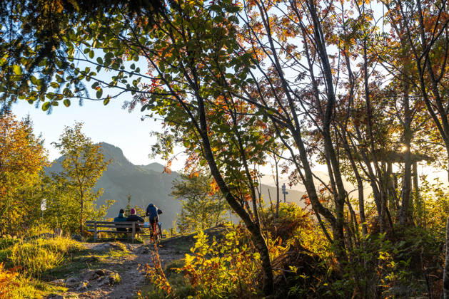 Herbstabend im Allgäu Blick in die Abendsonne in den bayerischen Alpen bei Oberjoch., Bad Hindelang Bayern Deutschland