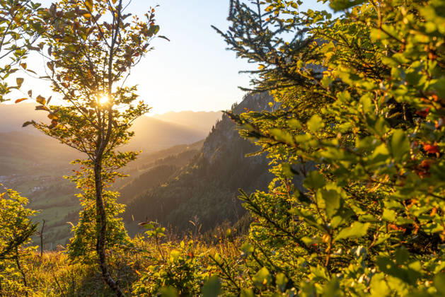 Herbstabend im Allgäu Blick in die Abendsonne in den bayerischen Alpen bei Oberjoch., Bad Hindelang Bayern Deutschland
