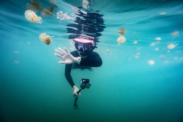 Snorkeler filming a swarm of jellyfish with an action camera Sorong, Southwest Papua, Indonesia CR_THHE261007E-2127053-01 ,model released, Symbolfoto ,property released