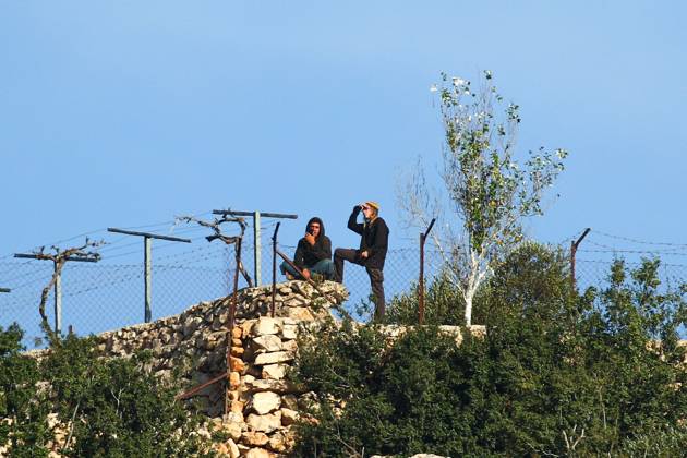 October 13, 2026, Ramallah: EIN YABRUD, WEST BANK, PALESTINE, OCTOBER 13, 2026: Palestinian residents and farmers harvest olives on their land in Ein Yabrud, east of Ramallah, in the occupied West Bank. Residents gathered to pick olives following reported settler attacks on farmers in the village in recent days. Ramallah - ZUMAq101 20261013_zna_q101_215 Copyright: xSalmanxMohsenxAlkhatibx