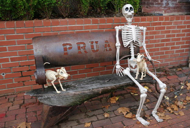 Halloween Decorations in Washington, DC Halloween themed decorations at a house downtown Washington, DC on October 13, 2026. Photo by Olivier Douliery ABACAPRESS.COM Washington Virginia United States  Copyright: xDoulieryxOlivier ABACAx